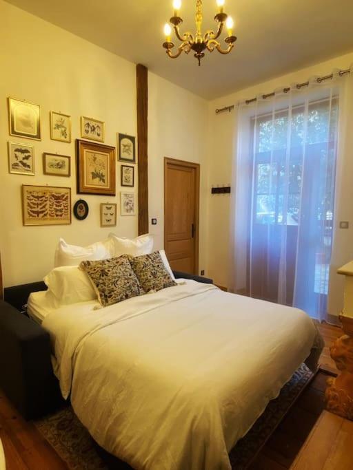 Cocon Cosy Dans La Ville Rose ตูลูส ภายนอก รูปภาพ